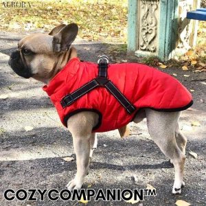 CozyCompanion™ | Hund vinterjacka