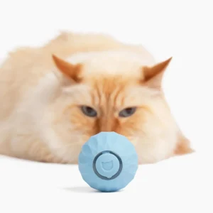 WhiskerWheel™ | Interaktiv powerbollleksak för katter