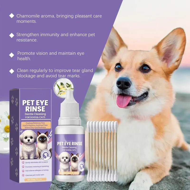 1 + 1 GRATIS IDAG | PawVision™ - Bild 2
